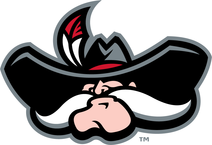 UNLV Rebels 2009-2017 Secondary Logo diy iron on heat transfer